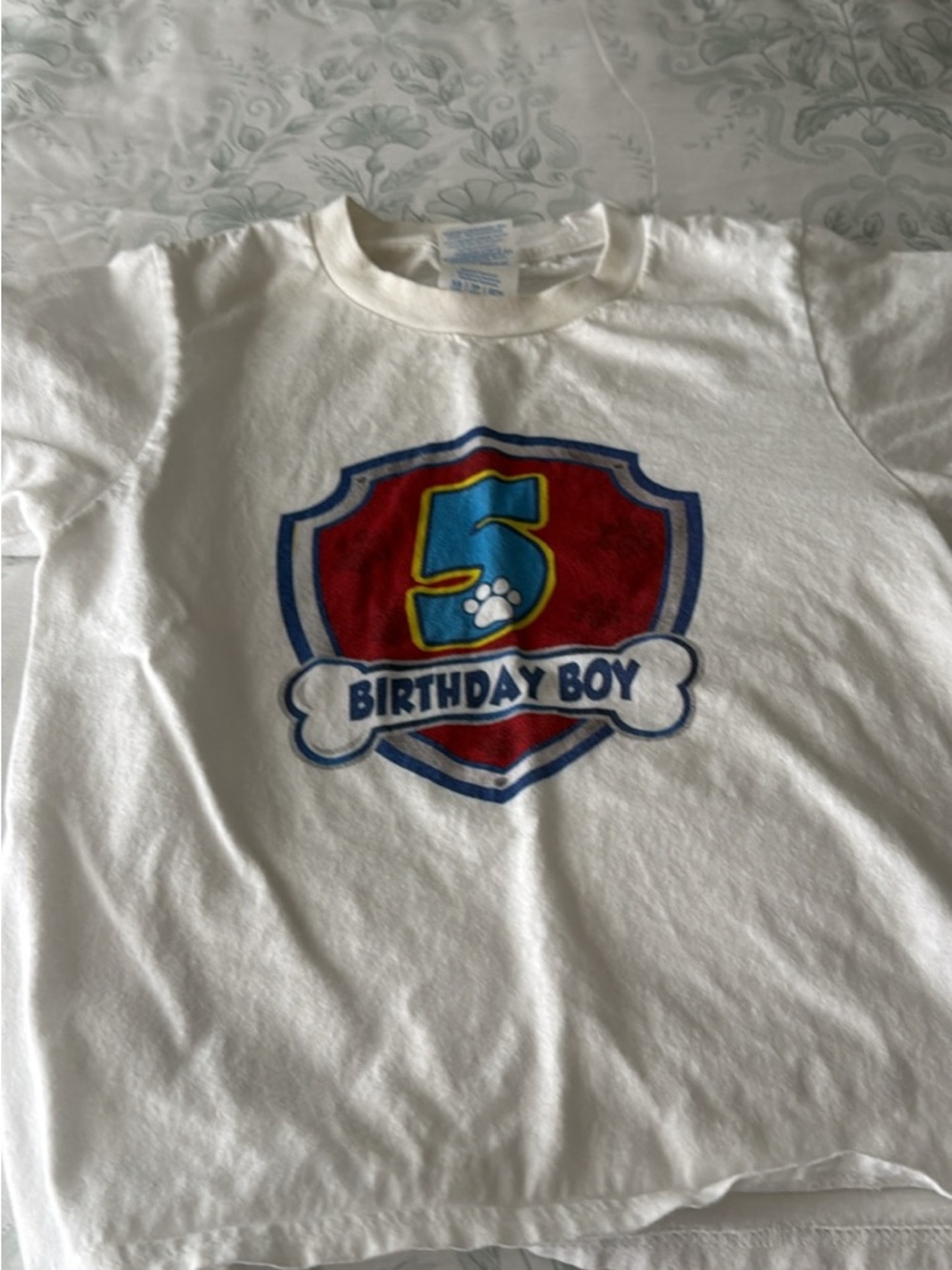 Paw Patrol 5 year old Birthday Boy shirt